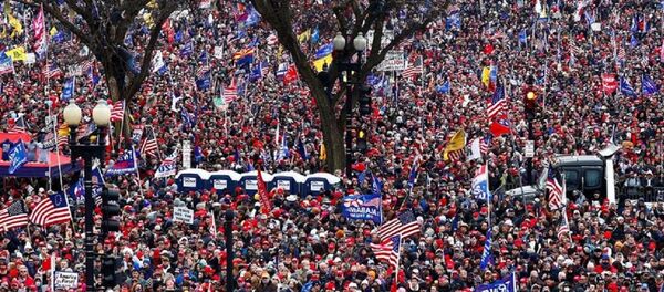 Protest u Vašingtonu - Sputnik Srbija