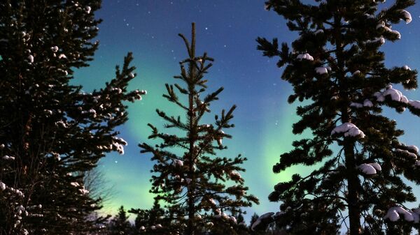 Polarna svetlost, jezero Lovozero, Murmanska oblast, Rusija - Sputnik Srbija