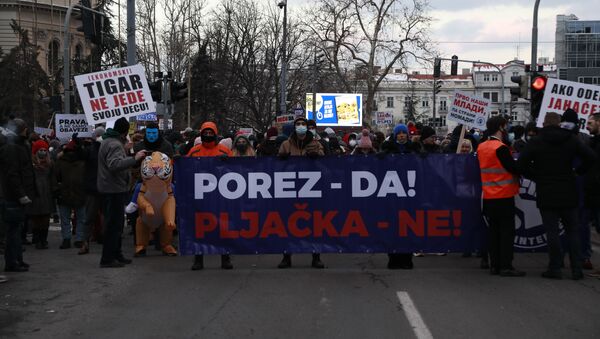 Протест фриленсера у Београду - Sputnik Србија
