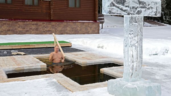 Predsednik Rusije Vladimir Putin zaranja u ledenu vodu na Bogojavljenje - Sputnik Srbija