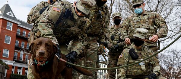 Припадници Националне гарде са псом у Линколн парку у Вашингтону Припадници Националне гарде са псом у Линколн парку у Вашингтону - Sputnik Србија