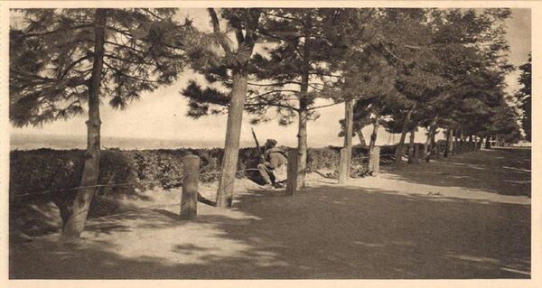 Рус који је сачувао хероизам Срба у три рата /фото/ Рус који је сачувао хероизам Срба у три рата /фото/ - Sputnik Србија