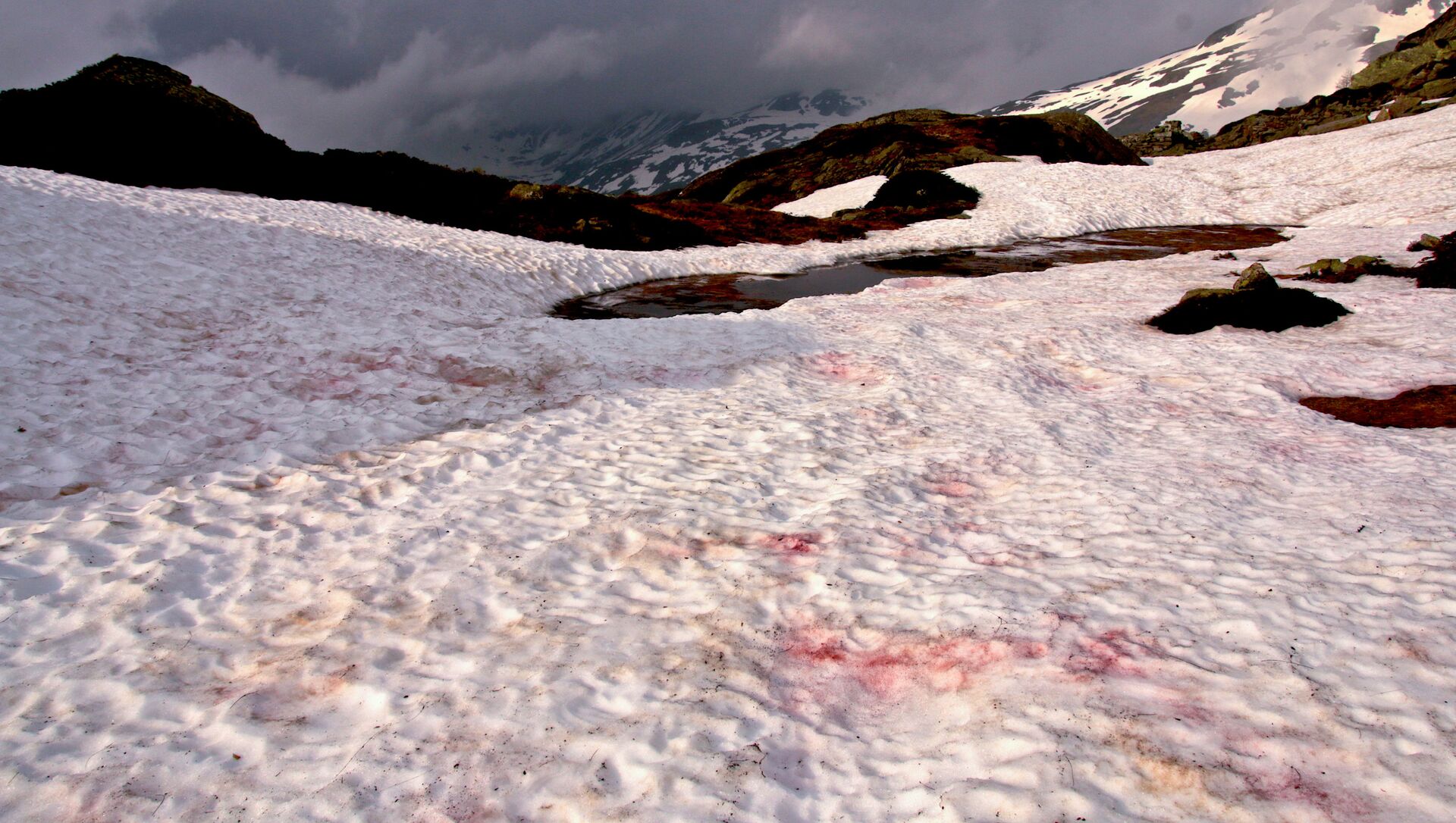 Крвави снег на Алпима у Швајцарској - Sputnik Србија, 1920, 06.02.2021
