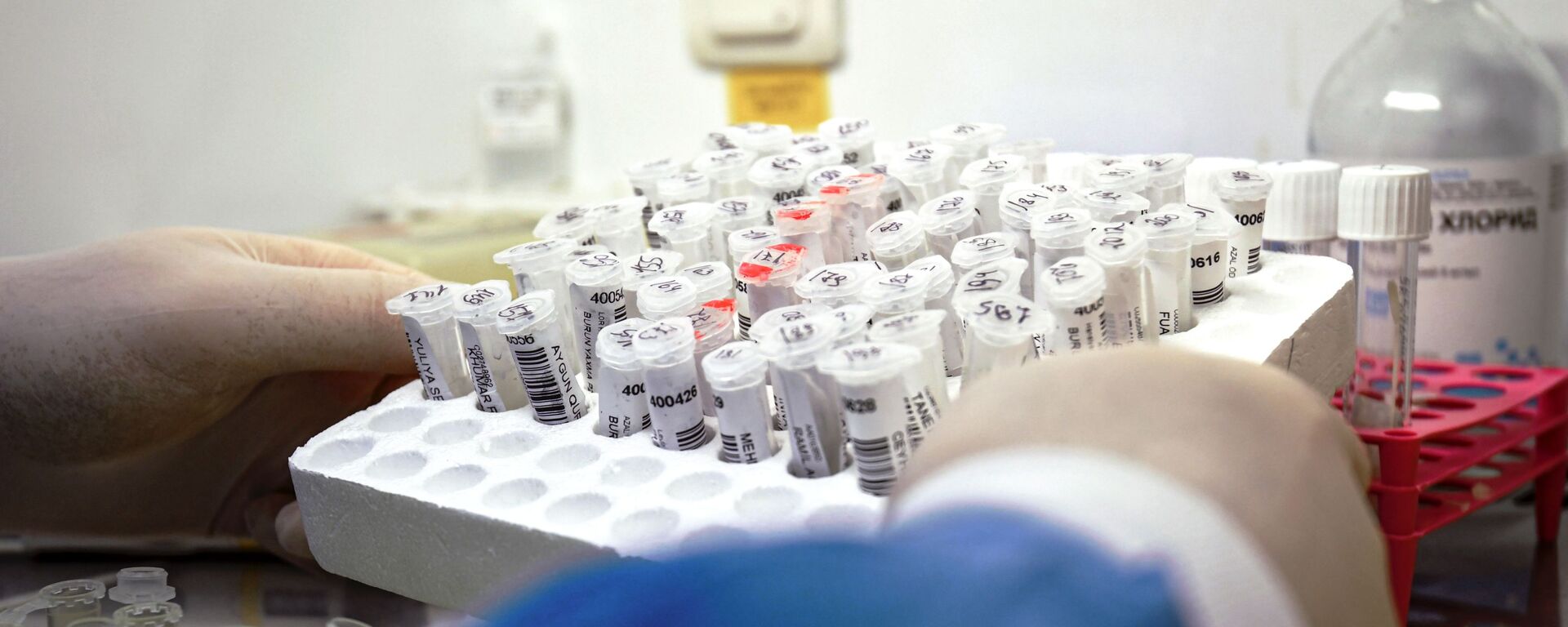 Laborant drži uzorke sa biomaterijalom za sprovođenja PCR testova na virus korona - Sputnik Srbija, 1920, 18.02.2021