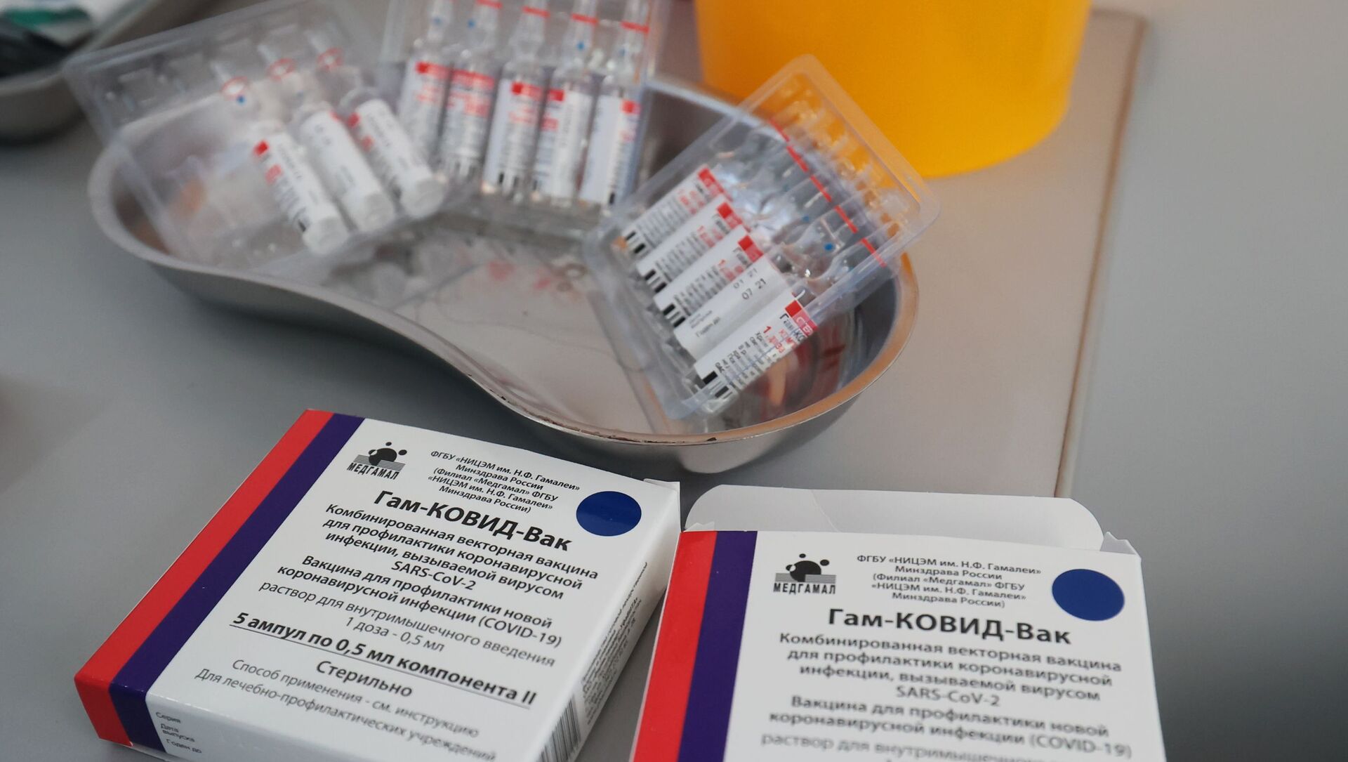 Ruska vakcina protiv kovida Gam-Kovid-Vak (Sputnjik Ve) - Sputnik Srbija, 1920, 24.02.2021