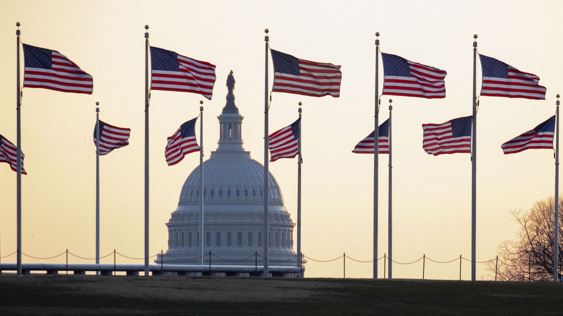 Amerikanskie flagi na fone Kapitoliя v Vašingtone, SŠA - Sputnik Srbija, 1920, 25.04.2021