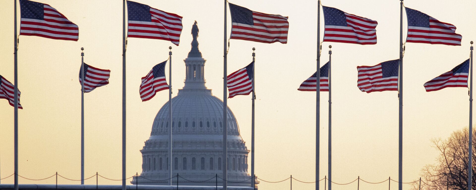 Американские флаги на фоне Капитолия в Вашингтоне, США - Sputnik Србија, 1920, 01.04.2022