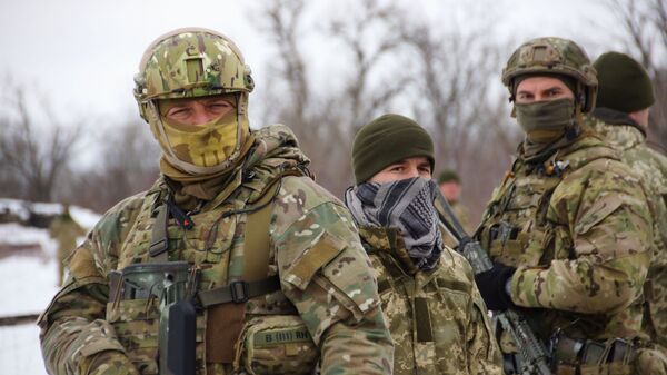 Ukrajinska vojska u Donbasu - Sputnik Srbija