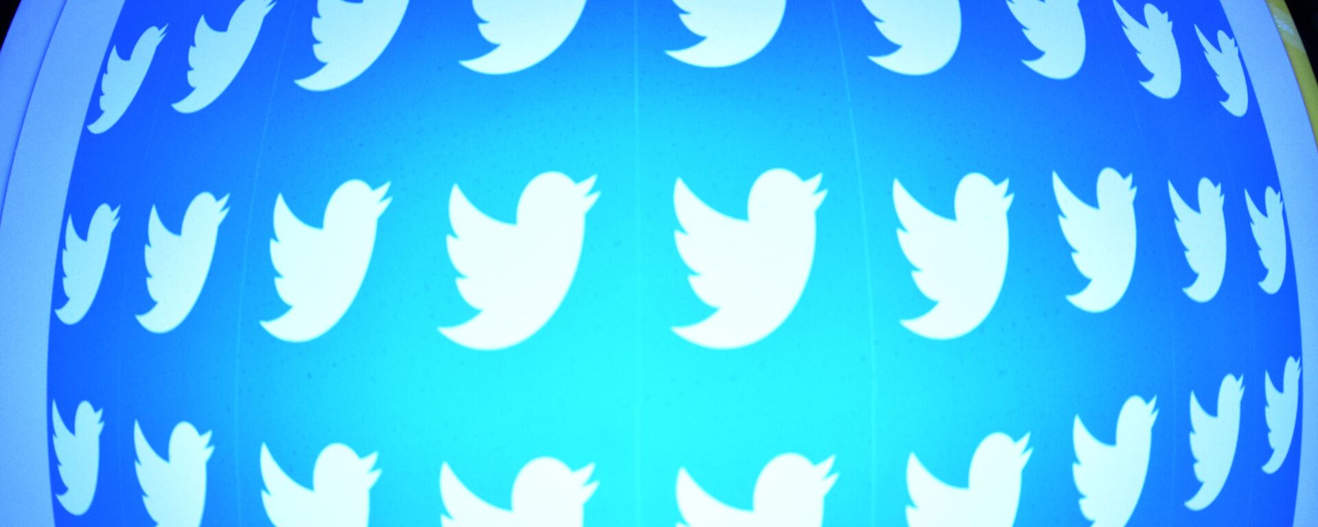 Logo društvene mreže Tviter na ekranu telefona - Sputnik Srbija, 1920, 31.05.2022