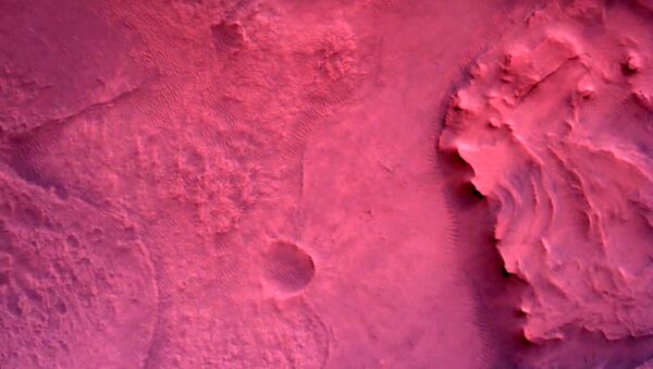 Површина Марса директно испод НАСА-иног ровера „Марс презерванс“  снимљена помоћу камере „ровер даун лук“ снимљено 22. фебруара 2021. године. - Sputnik Србија
