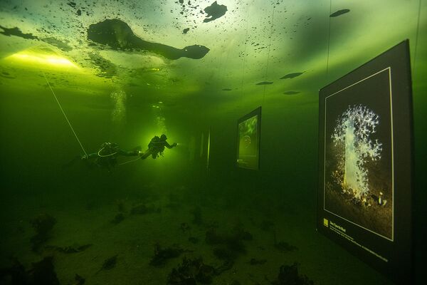 Слике испод леда на изложби „Док се лед не истопи у Белом мору, залив Нилмогуба - Sputnik Србија