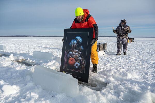 Организатори изложбе „Док се лед не истопи постављају експонате кроз отворе у леду, Бело море, залив Нилмогуба - Sputnik Србија