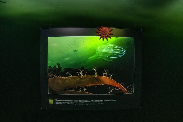 Слика „Марсовци поздрављају свемирски брод на изложби „Док се лед не истопи, Бело море, залив Нилмогуба - Sputnik Србија