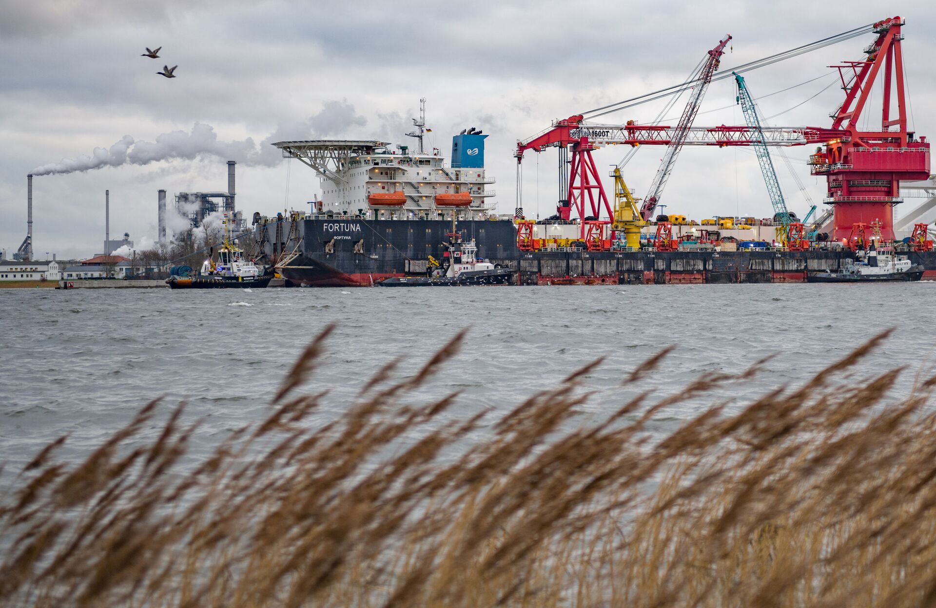 Brod za polaganje cevi Fortuna u luci nemačkog grada Vizmar - Sputnik Srbija, 1920, 16.10.2025