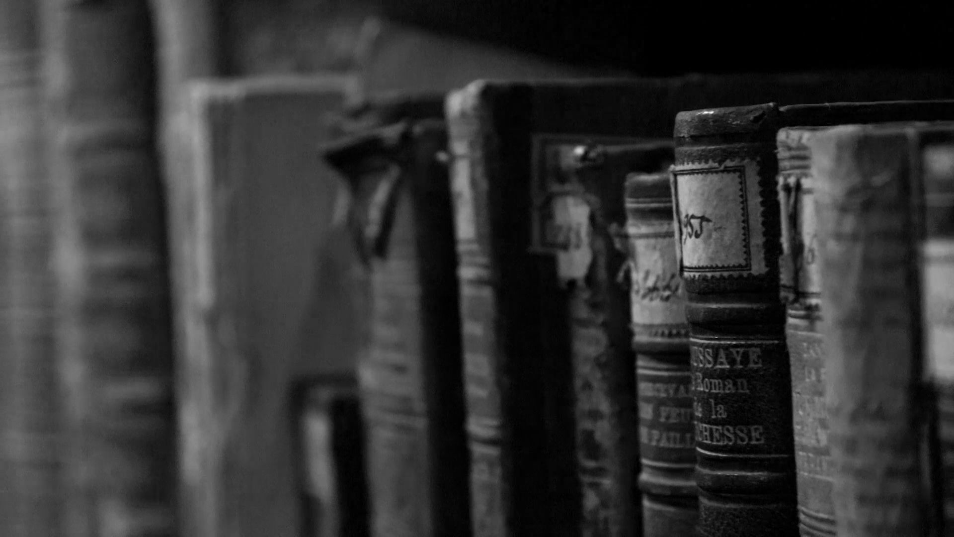 Ватра данима гутала столећа: Највећа ломача књига у Европи била је у — Београду /фото/ - Sputnik Србија, 1920, 05.04.2021