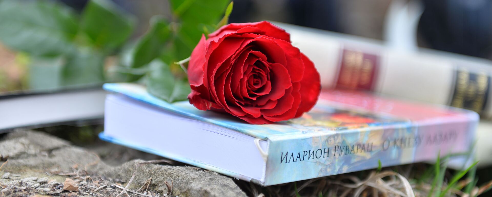 Narodna biblioteka Srbije je 6. aprila 1941. godine u bombardovanju aviona fašističke Nemačke pogođena zapaljivim bombama. Narodna biblioteka Srbije je 6. aprila 1941. godine u bombardovanju aviona fašističke Nemačke pogođena zapaljivim bombama. - Sputnik Srbija, 1920