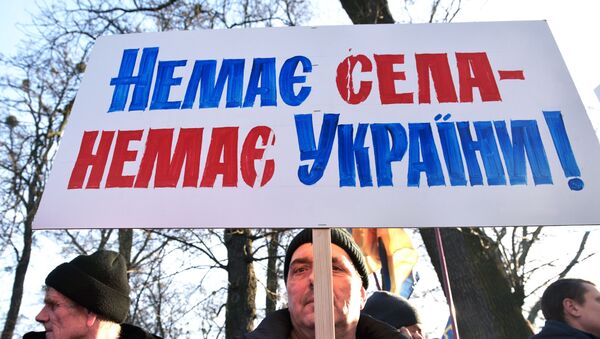 Protest protiv prodaje zemlje u Ukrajini  - Sputnik Srbija