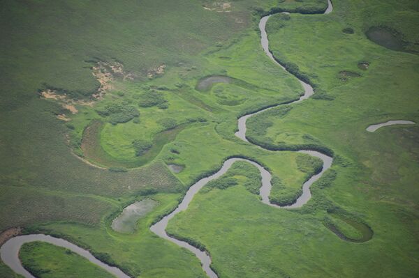Pogled na reku u Kronickom državnom rezervatu prirodne biosfere na Kamčatki  - Sputnik Srbija