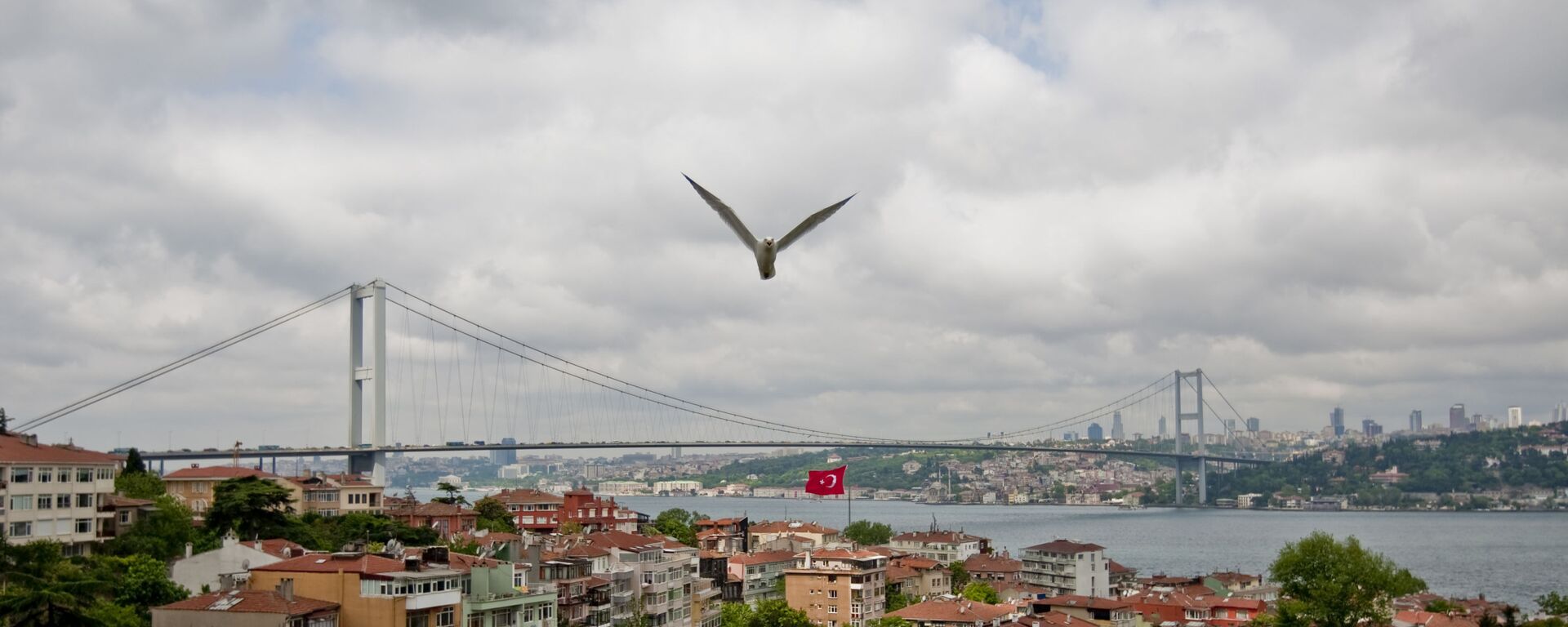 Мост преко Босфора у Истанбулу - Sputnik Србија, 1920, 13.07.2022