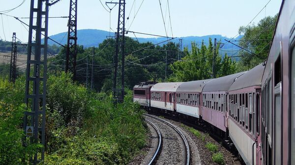 Voz na železničkoj pruzi - Sputnik Srbija