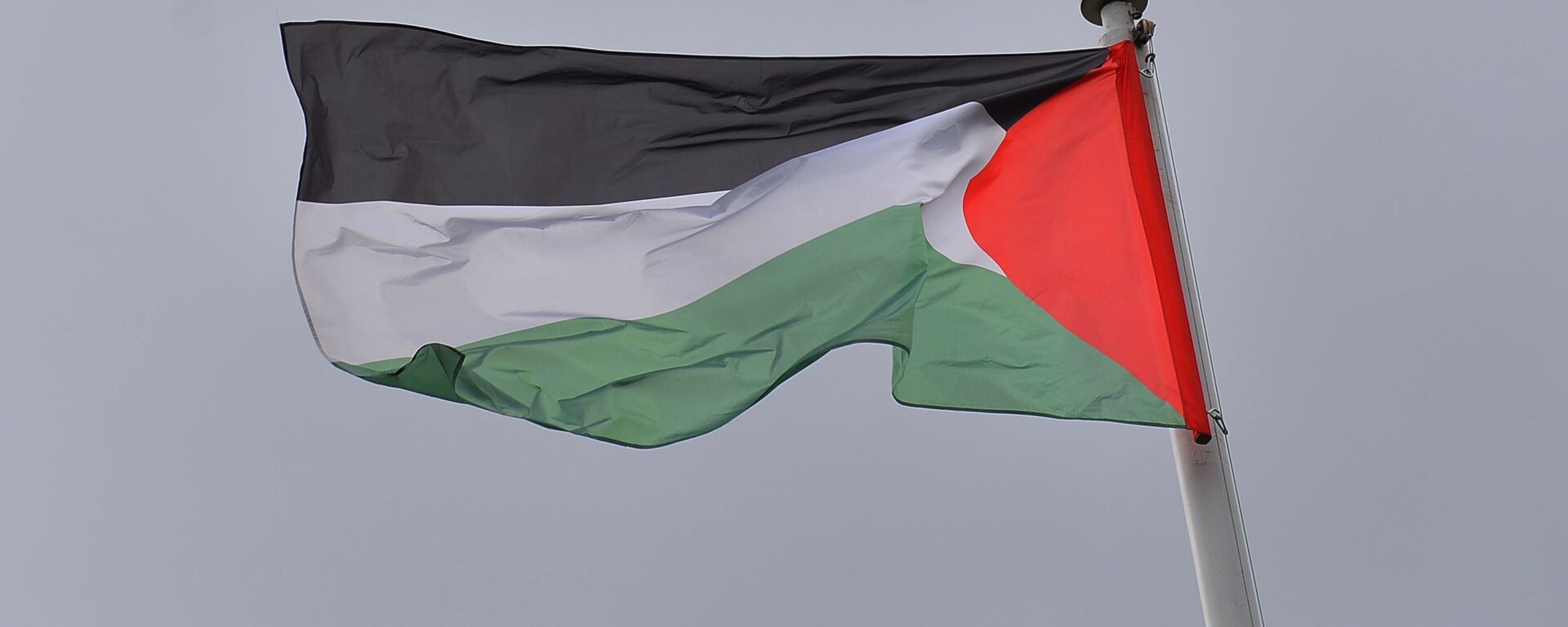 Palestinska zastava - Sputnik Srbija, 1920, 08.08.2025