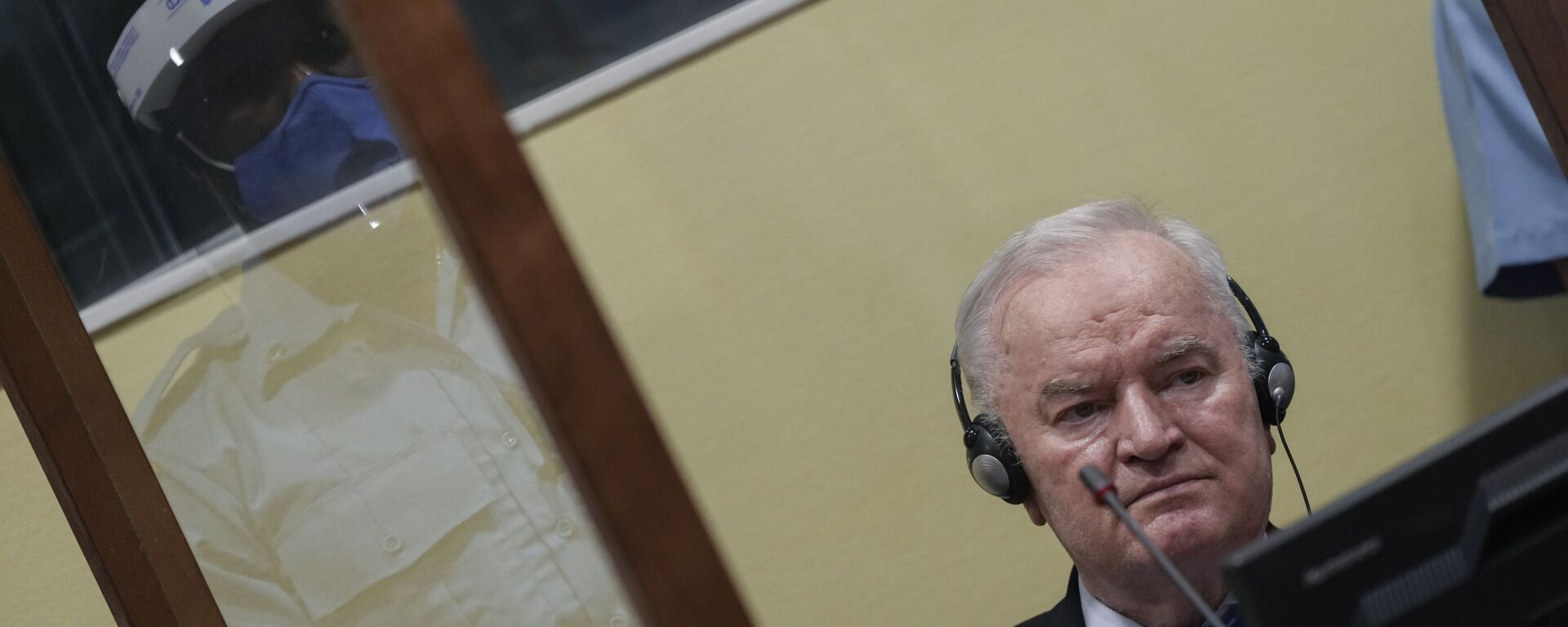 Ratko Mladić u sudnici u Hagu na izricanju drugostepene presude Ratko Mladić u sudnici u Hagu na izricanju drugostepene presude - Sputnik Srbija, 1920