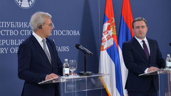 Aleksandar Gruško i Nikola Selaković - Sputnik Srbija