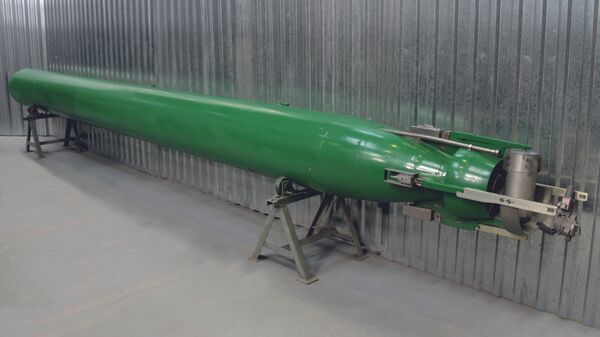 Univerzalna samonavođena torpeda (UGST) Fizik - Sputnik Srbija