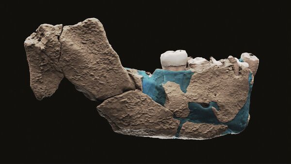 Ostaci nađeni na arheološkom nalazištu Nešer Ramla u Izraelu - Sputnik Srbija