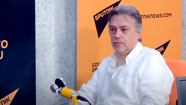Goran Gocić, pisac - Sputnik Srbija