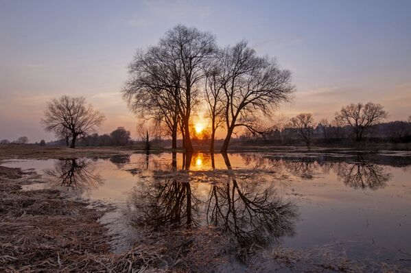 Река у рејону Звенигорода се излила и поплавила равницу.    - Sputnik Србија
