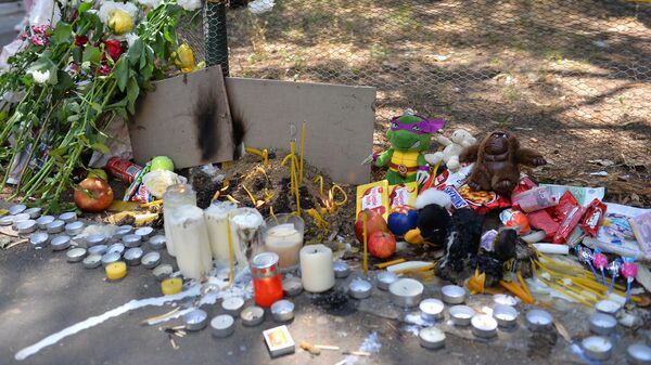 Грађани на Карабурми пале свеће и остављају играчке и слаткише на месту где је аутомобил ударио дечака - Sputnik Србија