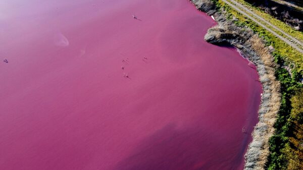 Језеро у Аргентини променило боју због хемијског загађења - Sputnik Србија