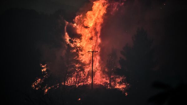 Šumski požar u blizini Atine - Sputnik Srbija