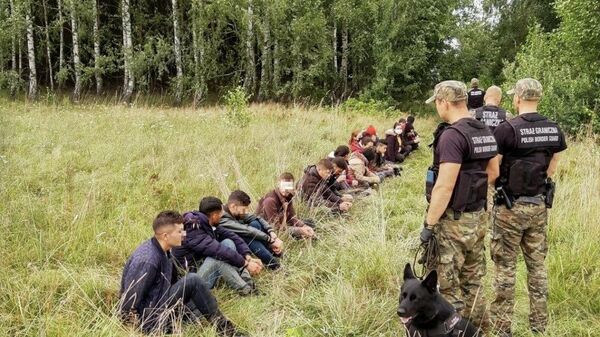 Poljska pogranična policija privodi migrante koji su pokušali da pređu granicu - Sputnik Srbija