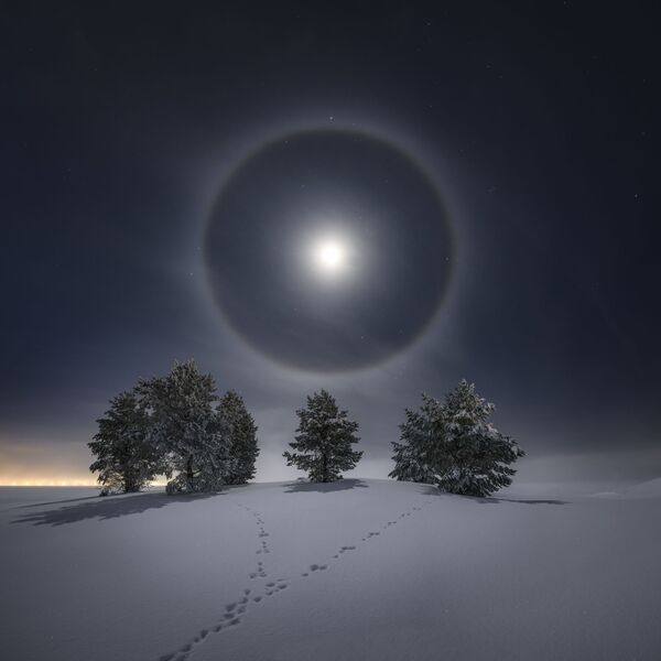 Ovo je svetli lunarni oreol. Kada je fotograf napravio ovu fotografiju bilo je minus 16 stepeni Celzijusa i vazduh je bio ispunjen malim kristalima leda koji su omogućili ovaj oreol.Ovako pravilan oreol češće se vidi oko Sunca. Mesečina mora biti prilično jaka da bi oreol bio vidljiv, pa je češća u danima punog meseca.Te noći je Mesec bio 90% osvetljen, tako da je bio skoro pun. Sa leve strane možete videti gradska svetla Ostersunda u Švedskoj. U donjem desnom uglu u oreolu možete videti kako prelazi sazvežđe Orion. U prvom planu nalaze se tragovi zeca koji je odskakutao do drveća.Ostersund, Švedska, 25. januara 2021. - Sputnik Srbija
