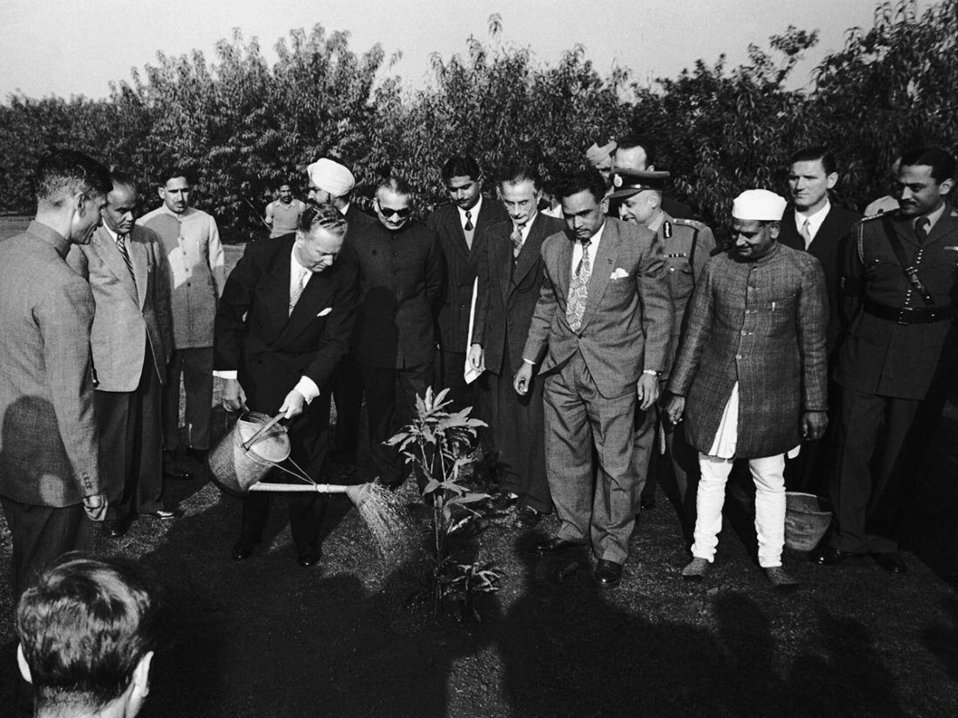 Josip Broz Tito sadi mladicu Ašok drveta u vrtu Radž Gata, mestu kremacije Mahatme Gandija,  Nju Delhi, 18. 12. 1954. - Sputnik Srbija, 1920, 24.04.2024