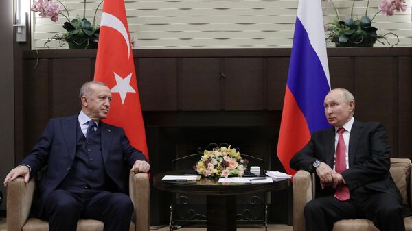 „Odnosi Rusije i Turske se pozitivno razvijaju“: Počeo sastanak Putina i Erdogana u Sočiju - Sputnik Srbija