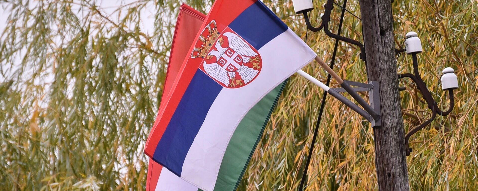 Zastave Srbije i Mađarske - Sputnik Srbija, 1920, 09.12.2025