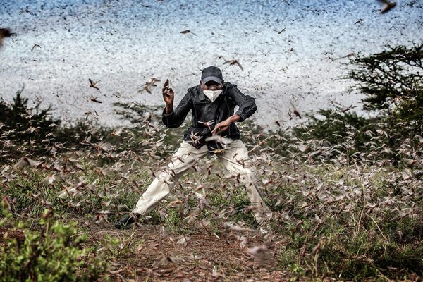 Za seriju fotografija pod nazivom „Invazija skakavaca na istoku Afrike“ nagradu u kategoriji „Moja planeta“ dobio je fotograf iz Španije Luis Tato. - Sputnik Srbija