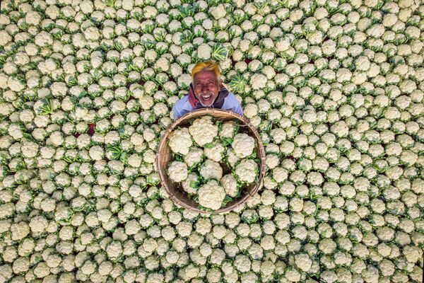 Fotografija Rafida Jasara iz Bangladeša „Srećni farmer“ dobila je posebnu ocenu žirija u pojedinačnoj kategoriji „Moja planeta“, a proglašena je za najbolju na celom konkursu po glasovima publike na internetu. - Sputnik Srbija