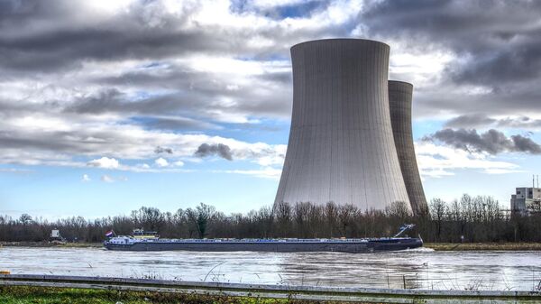 Nuklearna elektrana - Sputnik Srbija