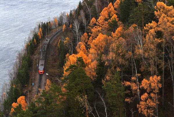 Воз иде кроз тајгу источног Сибира крај реке Јенисеј на Краснојарској територији. - Sputnik Србија