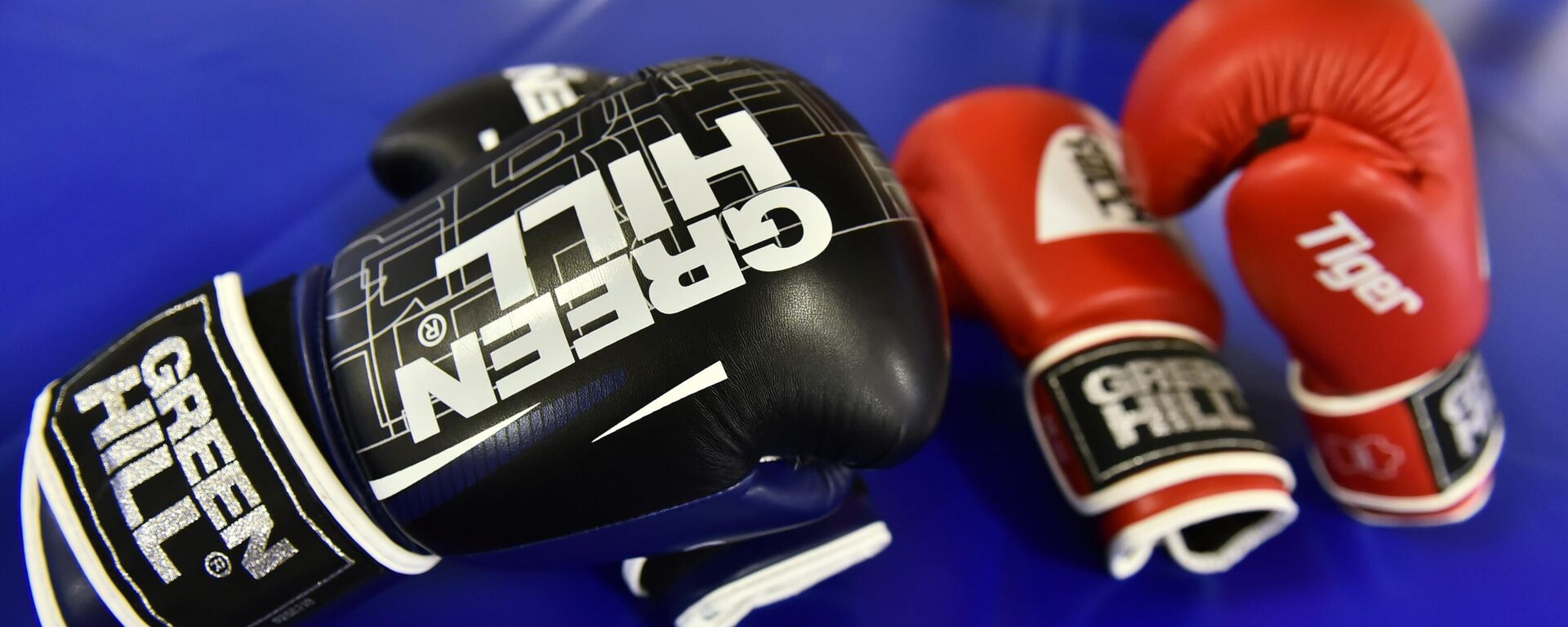 Светско првенство у боксу - Sputnik Србија, 1920, 23.02.2026