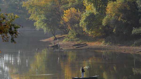Jesenje jutro na Dunavu - Sputnik Srbija
