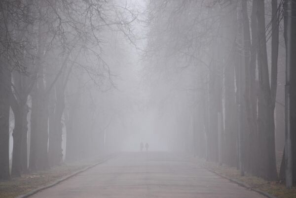 Moskovski park pod maglom. - Sputnik Srbija