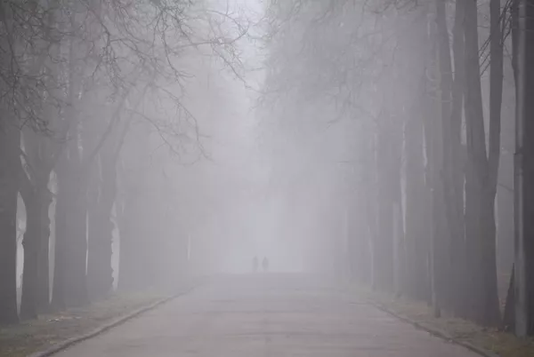 Moskovski park pod maglom. - Sputnik Srbija