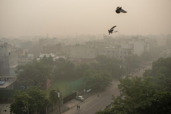 Nju Delhi je prestonica sa najgorim kvalitetom vazduha na svetu - Sputnik Srbija