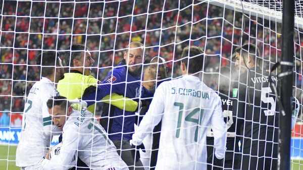 Golman Crvene zvezde i Kanade, Milan Borjan, na utakmici protiv Meksika - Sputnik Srbija