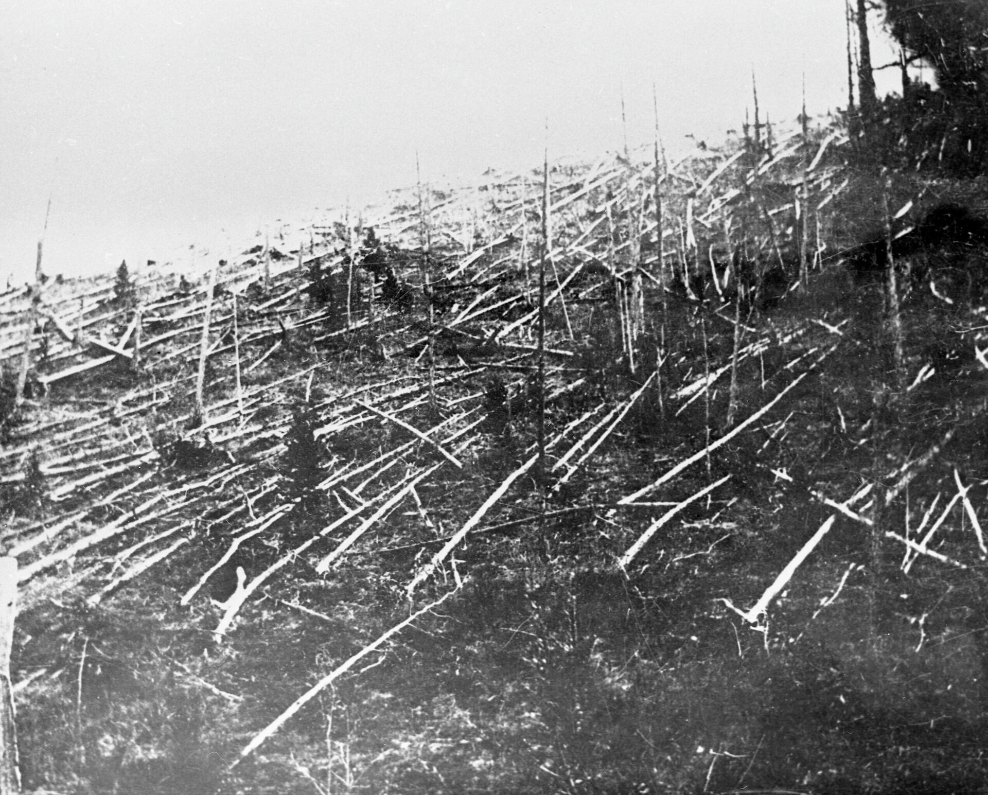 Место тунгуске експлозије снимљено 1927. године, 19 година после удара - Sputnik Србија, 1920, 27.11.2021
